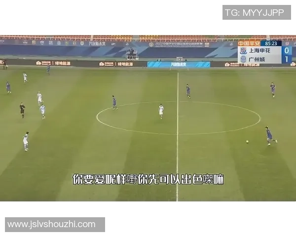 西班牙国足球星荣耀与激情铸就绿茵传奇辉煌历史