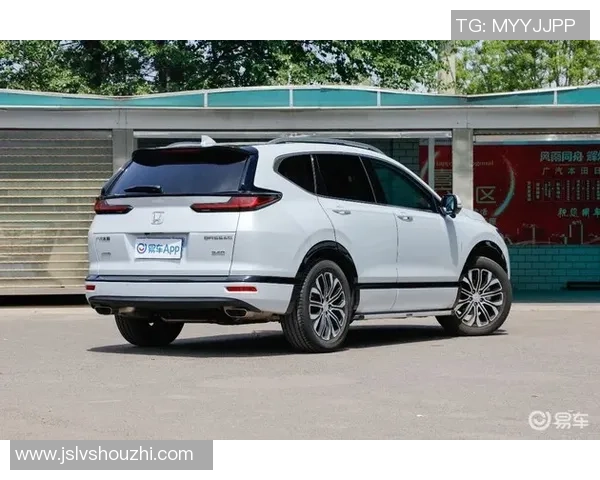 足球明星经典手势解读与背后意义探秘